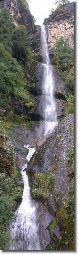 Click for the original image